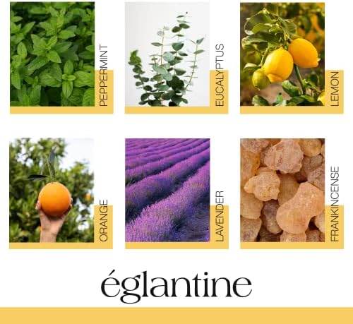 Комплекти Етерични масла EGLANTINE с Ливан за производство на Свещи, Овлажнител на въздуха Решетки Топ 6 Мента, Лимон, Портокал,